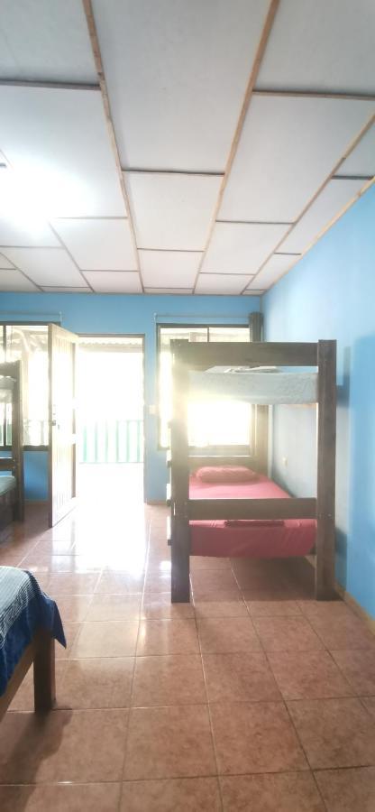 Allegra Hostel Drake Bay Exterior photo